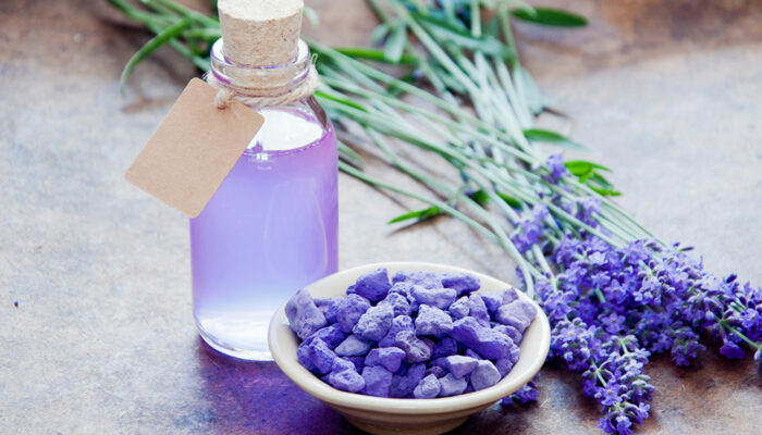 9 aromatic plants that naturally repel ticks